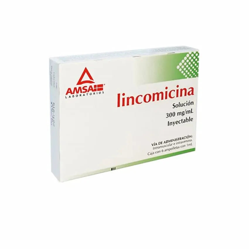 Lincomicina 300 Mg 6 Ampolletas 1 Ml