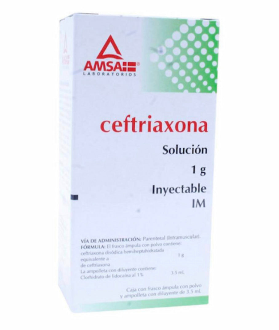 Ceftriaxona IM 1 g solución inyectable ampolleta